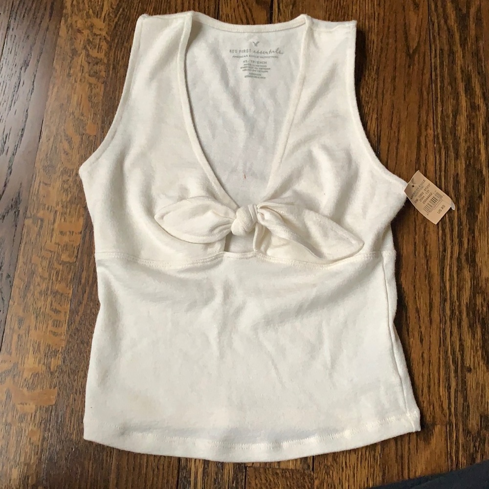Brand New with tags American Eagle Crop Top